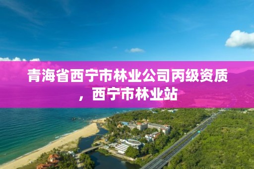 青海省西宁市林业公司丙级资质，西宁市林业站