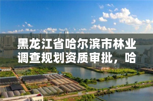 黑龙江省哈尔滨市林业调查规划资质审批，哈尔滨林业厅官网