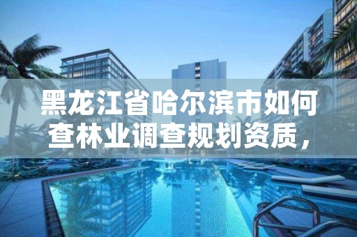 黑龙江省哈尔滨市如何查林业调查规划资质，黑龙江省林业调查规划院