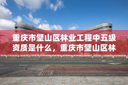 重庆市璧山区林业工程中五级资质是什么，重庆市璧山区林业工程中五级资质是什么级别