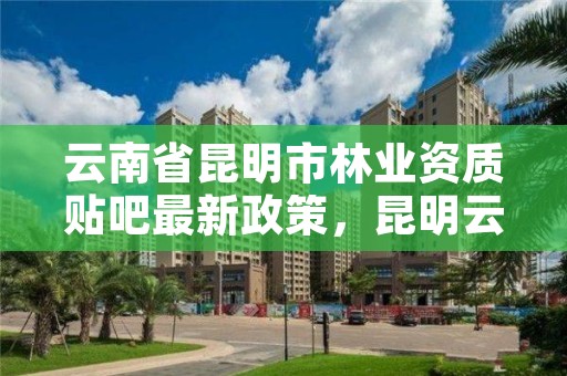 云南省昆明市林业资质贴吧最新政策，昆明云南省林业高级技工学校