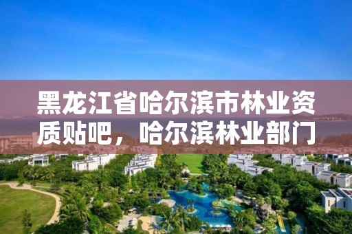 黑龙江省哈尔滨市林业资质贴吧，哈尔滨林业部门电话