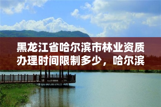 黑龙江省哈尔滨市林业资质办理时间限制多少，哈尔滨市林权交易中心