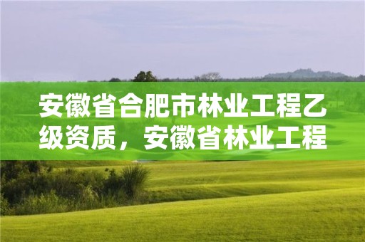 安徽省合肥市林业工程乙级资质，安徽省林业工程系列专业技术资格评审标准条件