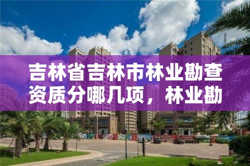 吉林省吉林市林业勘查资质分哪几项，林业勘察资质