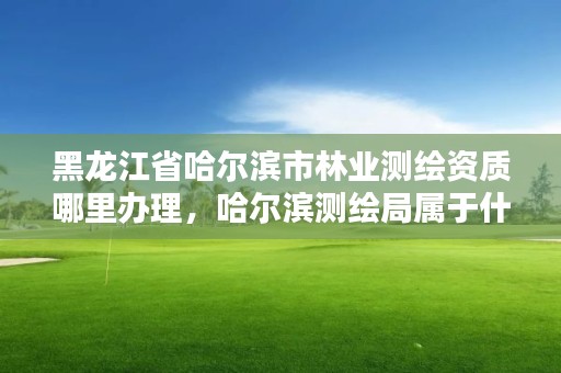 黑龙江省哈尔滨市林业测绘资质哪里办理，哈尔滨测绘局属于什么单位