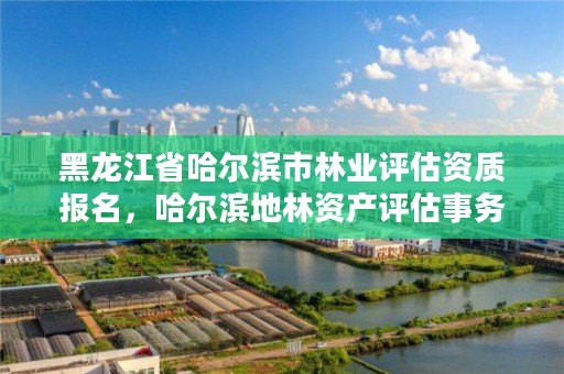 黑龙江省哈尔滨市林业评估资质报名，哈尔滨地林资产评估事务所