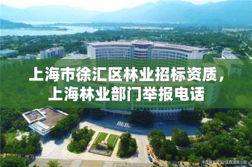 上海市徐汇区林业招标资质，上海林业部门举报电话