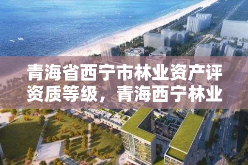 青海省西宁市林业资产评资质等级，青海西宁林业局