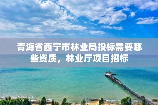 青海省西宁市林业局投标需要哪些资质，林业厅项目招标