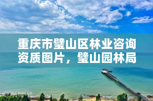 重庆市璧山区林业咨询资质图片，璧山园林局联系电话