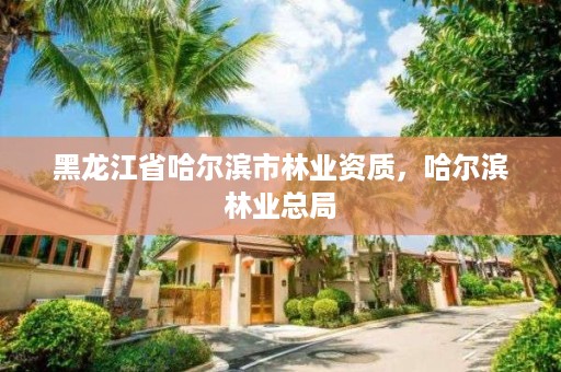 黑龙江省哈尔滨市林业资质，哈尔滨林业总局