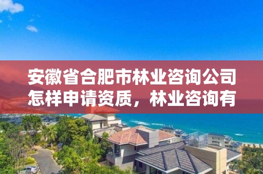 安徽省合肥市林业咨询公司怎样申请资质，林业咨询有限公司