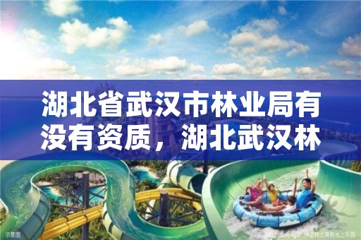 湖北省武汉市林业局有没有资质，湖北武汉林业局电话号码