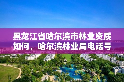 黑龙江省哈尔滨市林业资质如何，哈尔滨林业局电话号码