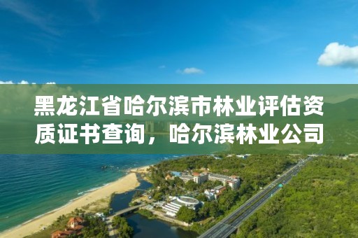 黑龙江省哈尔滨市林业评估资质证书查询，哈尔滨林业公司