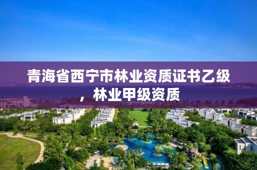 青海省西宁市林业资质证书乙级，林业甲级资质