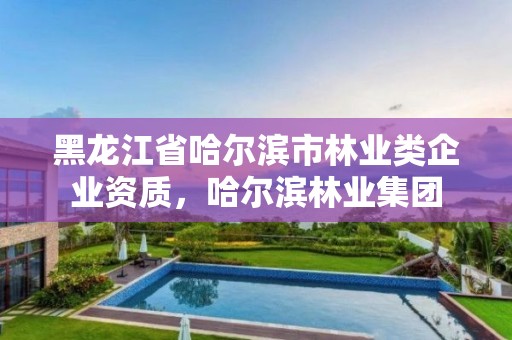 黑龙江省哈尔滨市林业类企业资质，哈尔滨林业集团