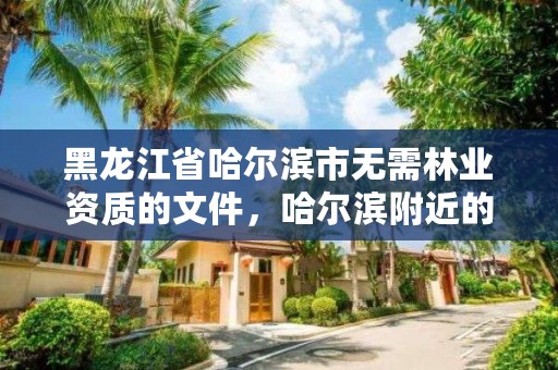 黑龙江省哈尔滨市无需林业资质的文件，哈尔滨附近的林业局