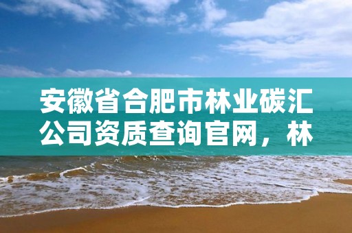 安徽省合肥市林业碳汇公司资质查询官网，林业碳汇咨询公司