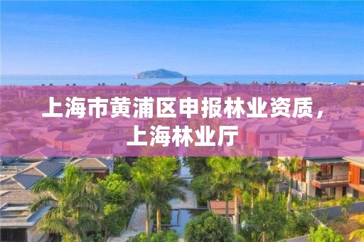 上海市黄浦区申报林业资质，上海林业厅