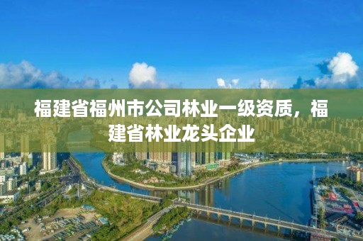 福建省福州市公司林业一级资质，福建省林业龙头企业