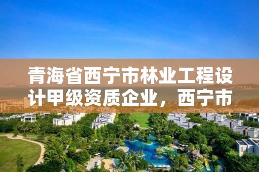 青海省西宁市林业工程设计甲级资质企业，西宁市园林绿化设计公司