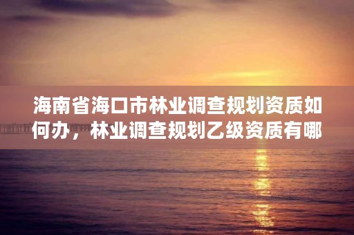 海南省海口市林业调查规划资质如何办，林业调查规划乙级资质有哪些