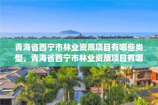 青海省西宁市林业资质项目有哪些类型，青海省西宁市林业资质项目有哪些类型的