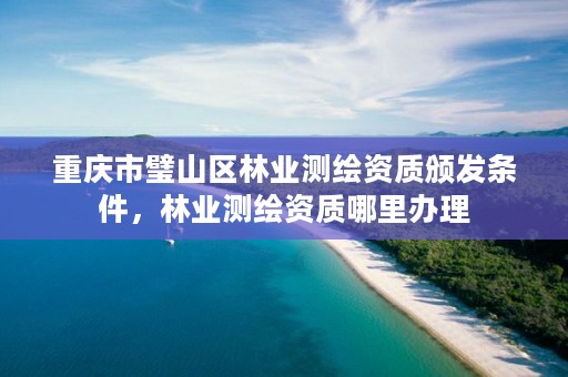 重庆市璧山区林业测绘资质颁发条件，林业测绘资质哪里办理