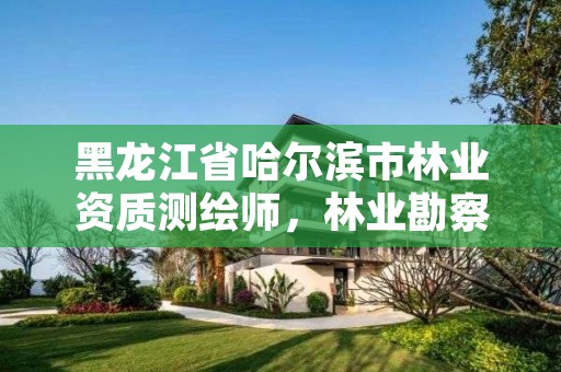 黑龙江省哈尔滨市林业资质测绘师，林业勘察测绘资质