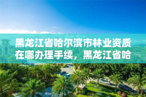 黑龙江省哈尔滨市林业资质在哪办理手续，黑龙江省哈尔滨市林业局官网