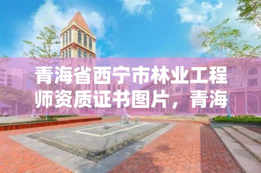 青海省西宁市林业工程师资质证书图片，青海省林业工程咨询有限公司