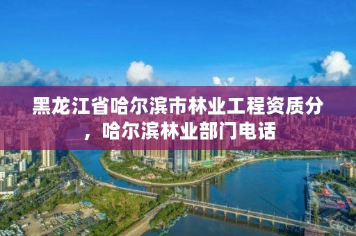 黑龙江省哈尔滨市林业工程资质分，哈尔滨林业部门电话