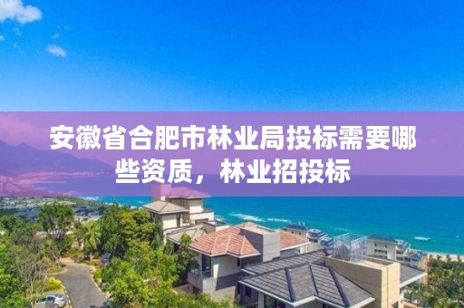 安徽省合肥市林业局投标需要哪些资质，林业招投标