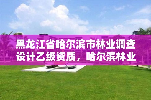 黑龙江省哈尔滨市林业调查设计乙级资质，哈尔滨林业设计院地址