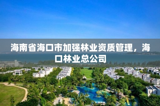 海南省海口市加强林业资质管理，海口林业总公司