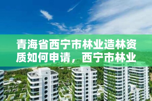 青海省西宁市林业造林资质如何申请，西宁市林业站