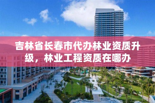 吉林省长春市代办林业资质升级，林业工程资质在哪办