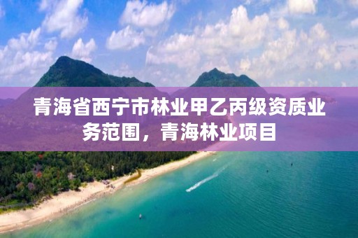 青海省西宁市林业甲乙丙级资质业务范围，青海林业项目