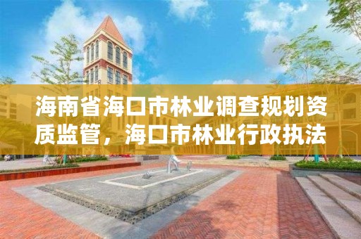 海南省海口市林业调查规划资质监管，海口市林业行政执法支队