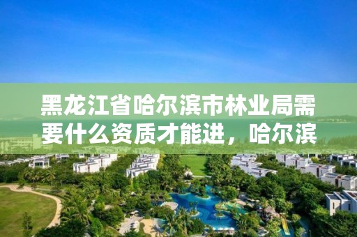 黑龙江省哈尔滨市林业局需要什么资质才能进，哈尔滨市林业局直属林场