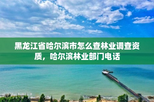 黑龙江省哈尔滨市怎么查林业调查资质，哈尔滨林业部门电话