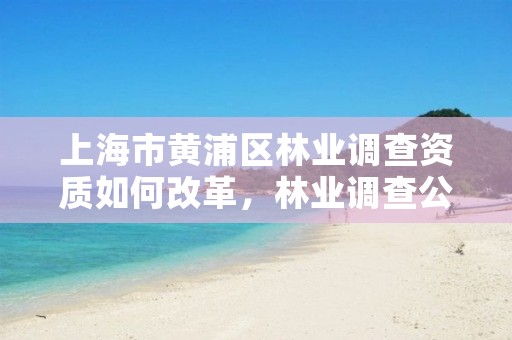 上海市黄浦区林业调查资质如何改革，林业调查公司干什么的