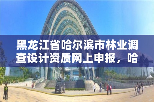 黑龙江省哈尔滨市林业调查设计资质网上申报，哈尔滨林业厅官网