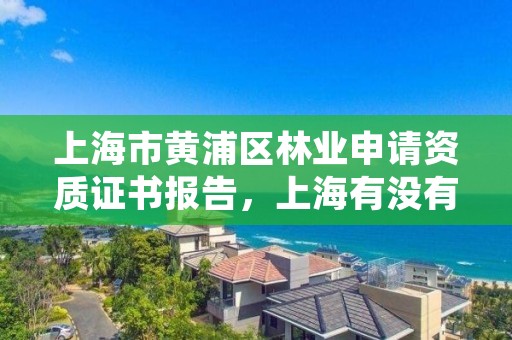 上海市黄浦区林业申请资质证书报告，上海有没有林业局