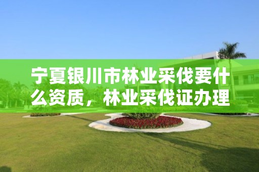 宁夏银川市林业采伐要什么资质，林业采伐证办理顺序