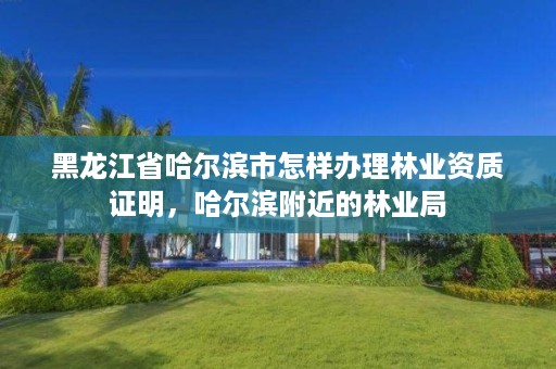 黑龙江省哈尔滨市怎样办理林业资质证明，哈尔滨附近的林业局