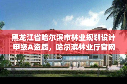 黑龙江省哈尔滨市林业规划设计甲级A资质，哈尔滨林业厅官网