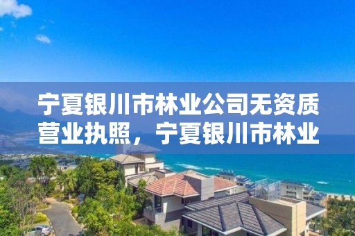 宁夏银川市林业公司无资质营业执照，宁夏银川市林业公司无资质营业执照怎么办